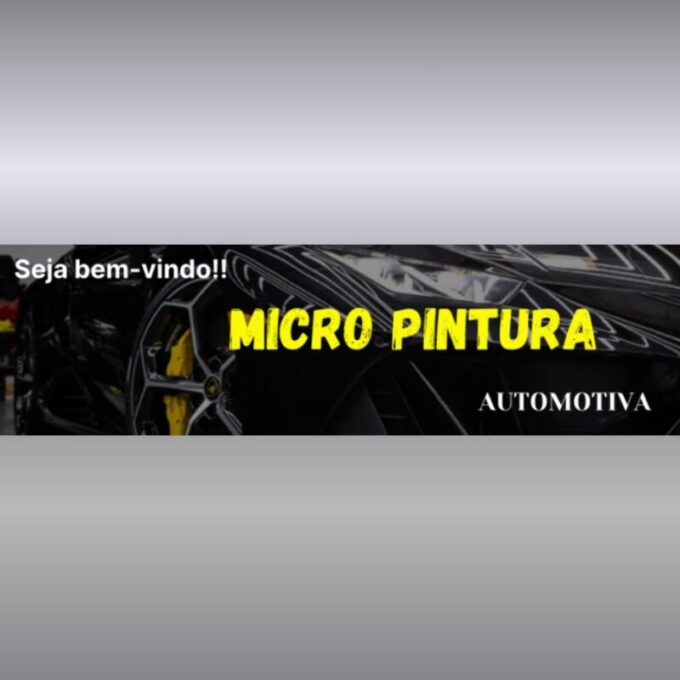 Curso de Micro Pintura Automotiva